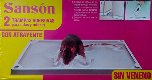 sanson-1